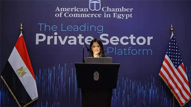 المشاط: شراكاتنا الدولية لا تستهدف فقط التمويلات لكن أيضًا الدعم الفني