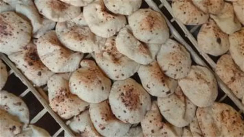 مواعيد عمل المخابز البلدية خلال شهر رمضان الكريم.. تعرف على التفاصيل