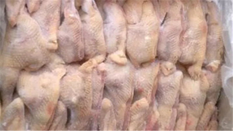 طرح دواجن مجمدة بمنافذ المجمعات الاستهلاكية بسعر 65 جنيها للكيلو