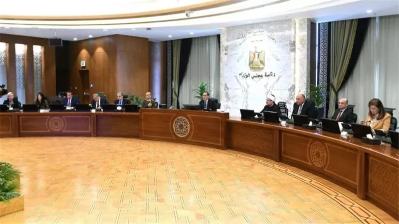 الحكومة تعفى 25 ألف طن دواجن مجمدة من الضرائب الجمركية