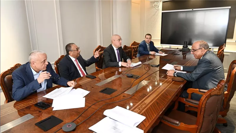 ‫ وزيرا الإسكان وقطاع الأعمال العام يستعرضان أوجه التعاون المشترك