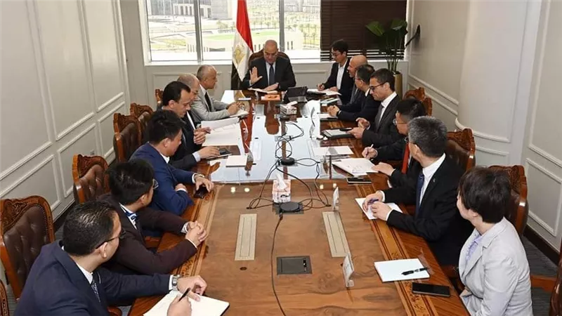 وزير الإسكان يلتقى نائب رئيس شركة 