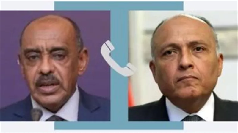 وزير الخارجية يبحث مع نظيره السودانى تطورات الأوضاع على الساحة السودانية
