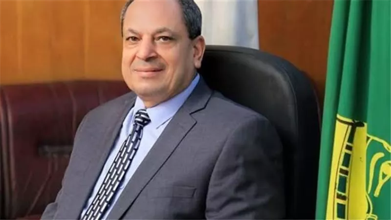 توريد 1462 طن من محصول القمح بالشون والصوامع الحكومية بالمنيا
