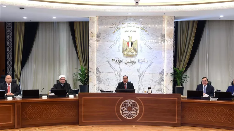 رئيس الوزراء: مؤسسات الدولة المصرية تحركت منذ اليوم الأول للأزمة بالسودان الشقيق 