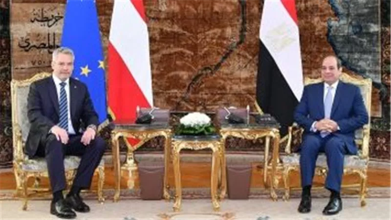 الرئاسة: الرئيس السيسى ومستشار النمسا ناقشا أوضاع السودان وفلسطين وسد النهضة