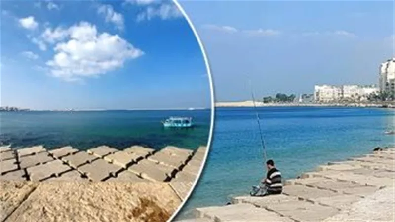 غدا طقس دافئ نهارا بالقاهرة حار جنوبا والعظمى بالعاصمة 25 درجة