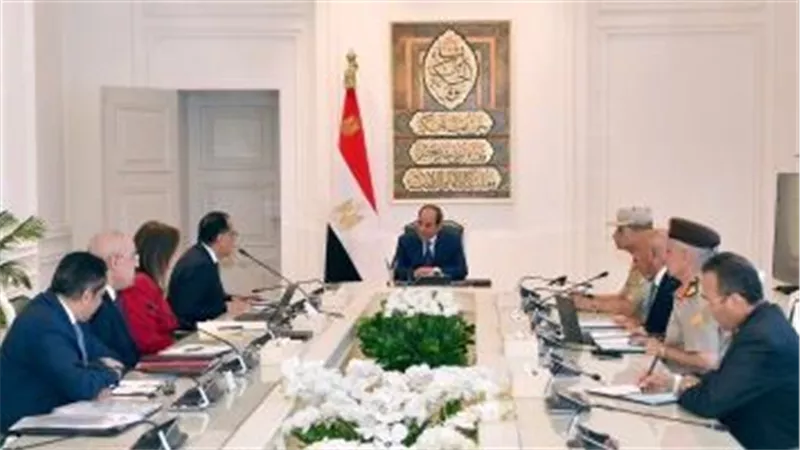 السيسى: انتقال الحكومة للعاصمة الإدارية يجب أن يكون أساسا لتحديث الجهاز الإدارى