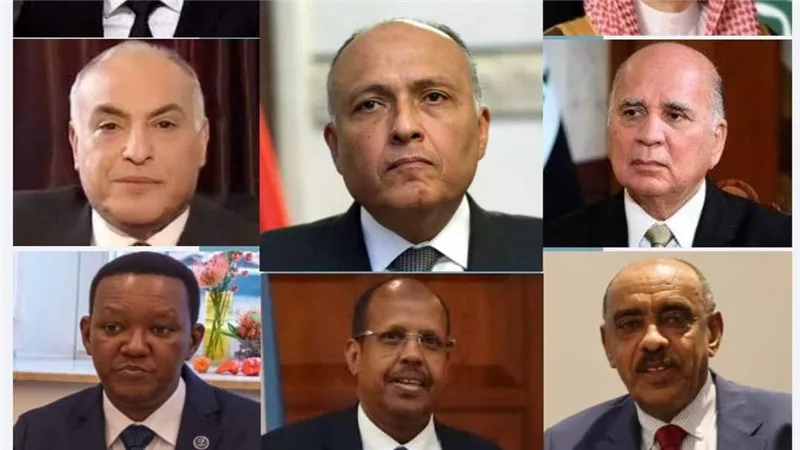 شكري يجري اتصالات هاتفية مع وزراء خارجية خارجية السودان والسعودية والعراق والجزائر والأردن وجيبوتي وكينيا