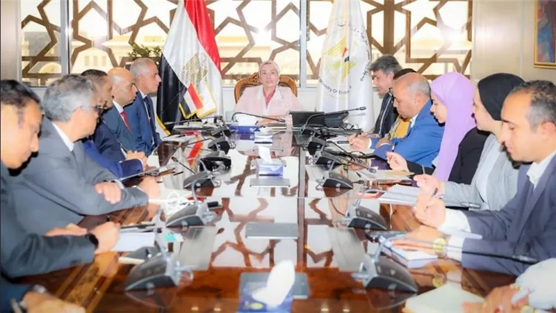 وزيرة البيئة تلتقي عددًا من المستثمرين والشركات العاملة في مجال تحويل المخلفات إلى طاقة