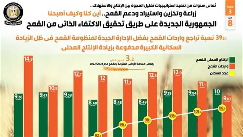 ثماني سنوات من تنفيذ استراتيجيات تقليل الفجوة بين الإنتاج والاستهلاك (انفوجراف)