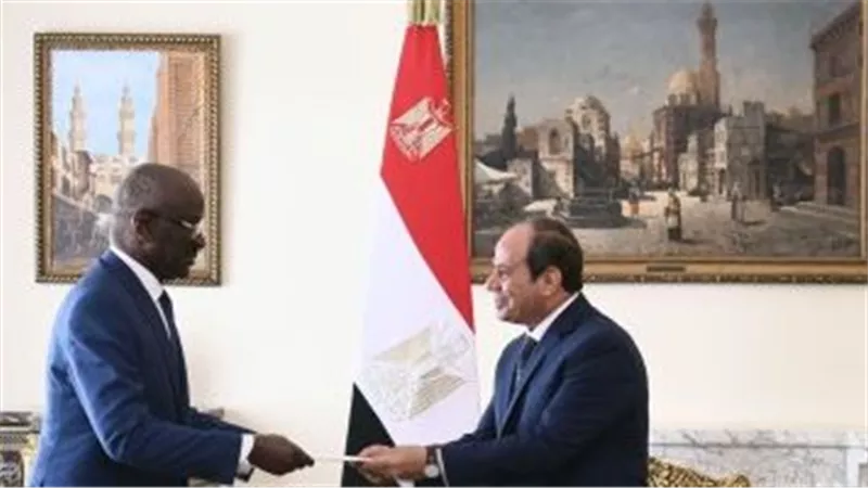 الرئيس السيسى يتسلم رسالة من نظيره الموريتانى تشيد بدور مصر الرائد على المستويين العربي والأفريقي