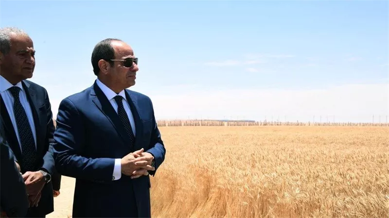 حلم مصري يتحقق بعد 20 عام.. تفاصيل جديدة حول مشروع توشكى 