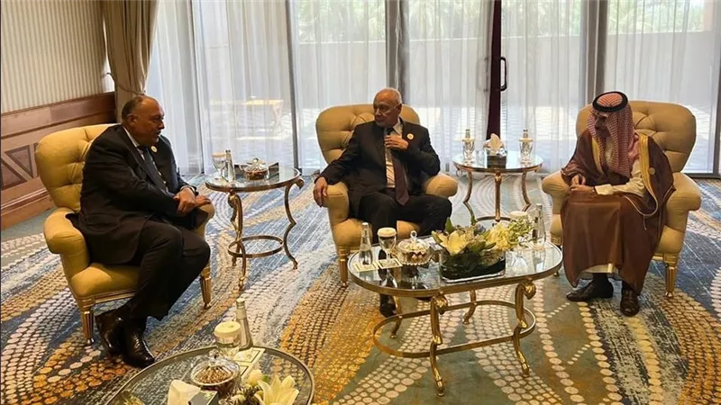 وزير الخارجية يشارك في الاجتماع الأول لمجموعة الاتصال العربية الوزارية المعنية بالوضع في السودان