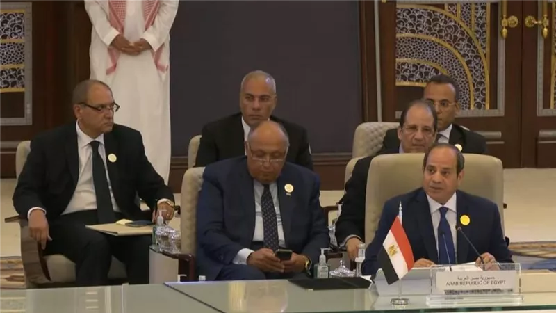 نص كلمة السيسي خلال قمة مجلس جامعة الدول العربية جدة