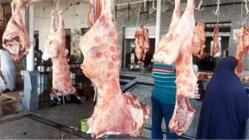 الزراعة تطرح لحوما بلدية فى منافذها بسعر 225 جنيهًا للكيلو