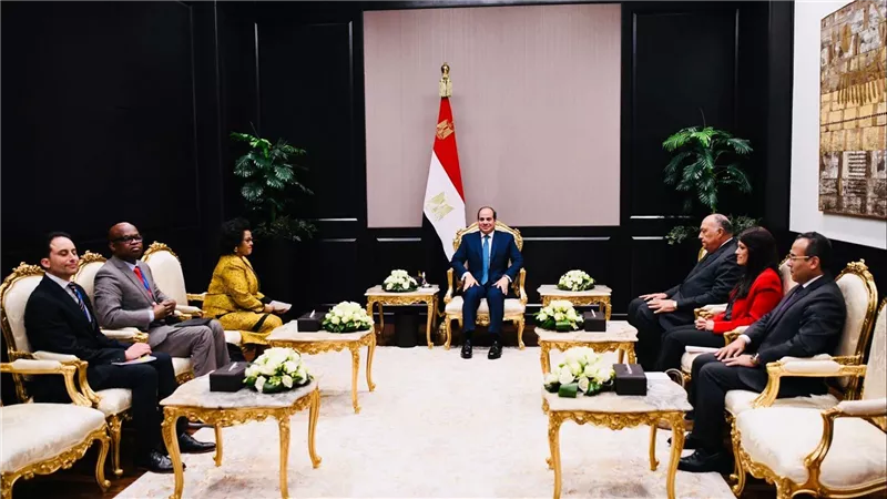 أولويات الرئاسة المصرية الحالية للنيباد.. تفاصيل لقاء الرئيس السيسي  مع المديرة التنفيذية لوكالة الاتحاد الأفريقي للتنمية