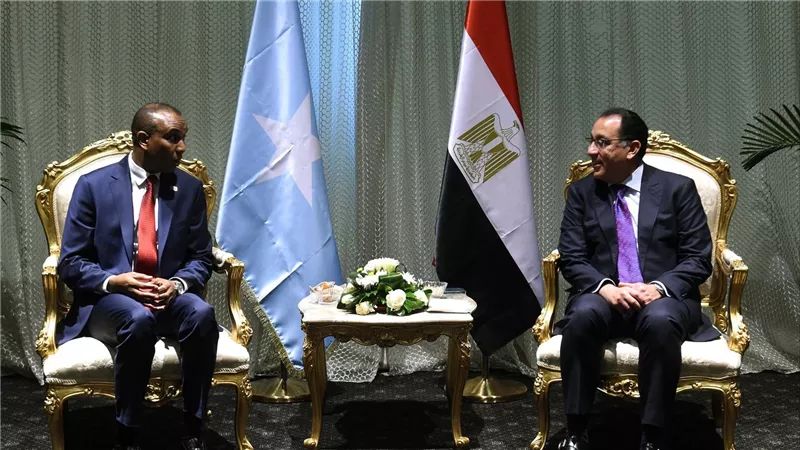 مدبولى يلتقى رئيس وزراء جمهورية الصومال الفيدرالية