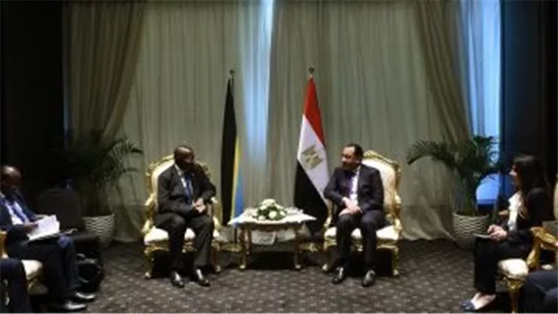 رئيس الوزراء يلتقى نائب رئيسة تنزانيا