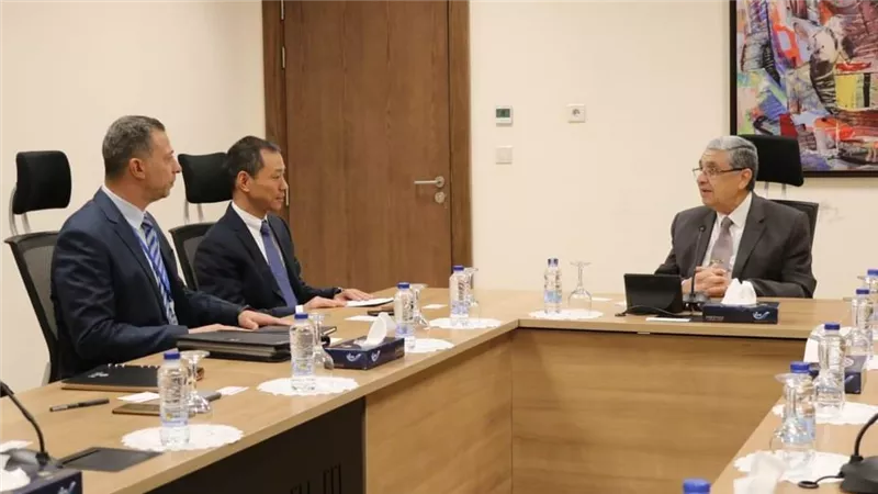 وزير الكهرباء يستقبل نائب الرئيس التنفيذى لشركة CTGI الصينية