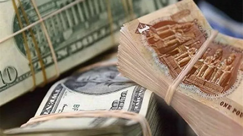 تراجع الأخضر.. أسعار الدولار في البنوك