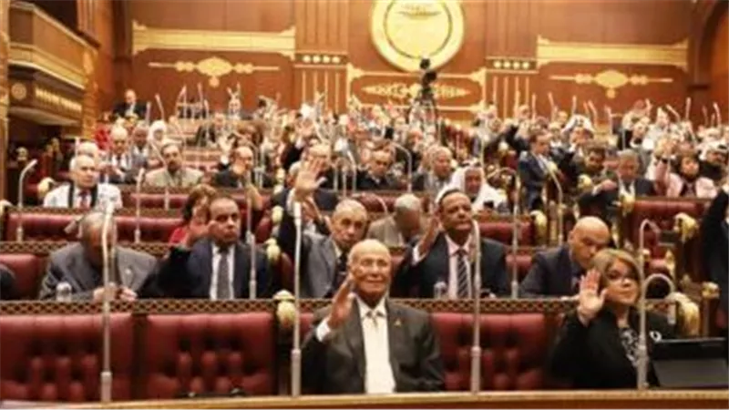 وزيرة التخطيط لـ