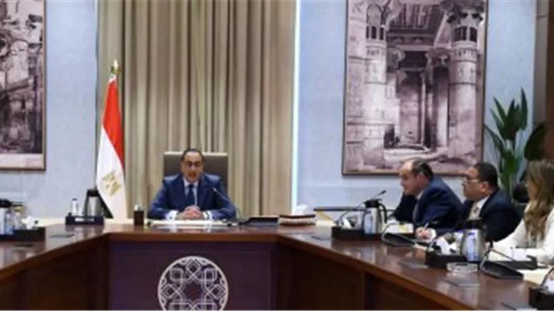 رئيس الوزراء يلتقى الرئيس التنفيذى لشركة 