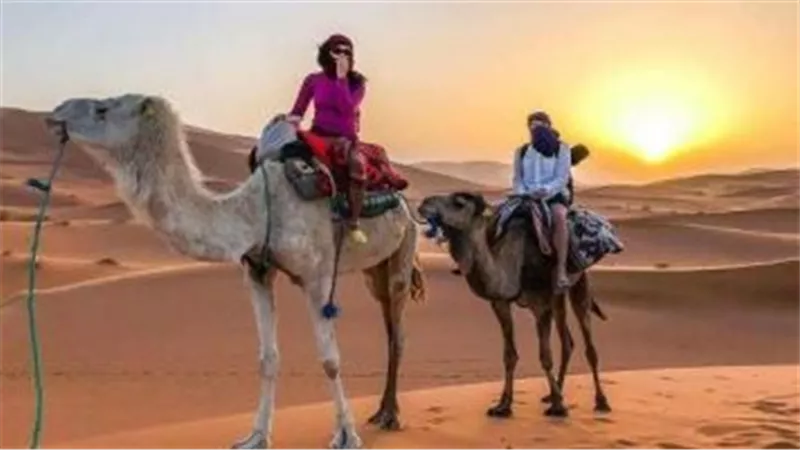 سياحة النواب تناقش تنفيذ استراتيجية زيادة إيرادات 