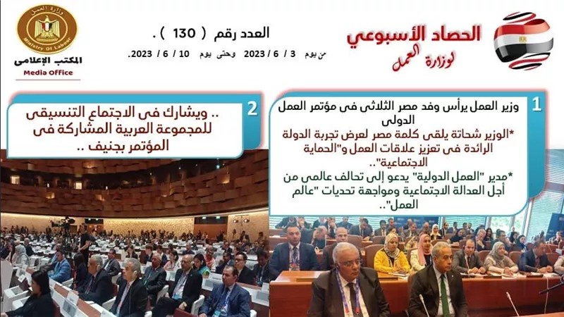 بالإنفوجراف ..