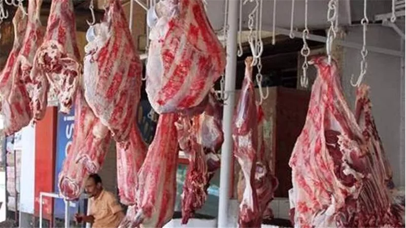مفاجأة سارة.. مسئول بالتموين أسعار اللحوم ستنخفض في العيد
