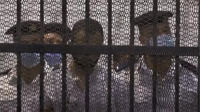 عاجل.. تنفيذ حكم إعدام قاتل نيرة أشرف بسجن جمصة فى الدقهلية
