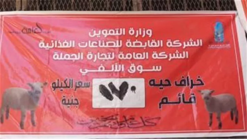 التموين تطرح خرافا حية للأضاحي بسعر 170 جنيها للكيلو القائم