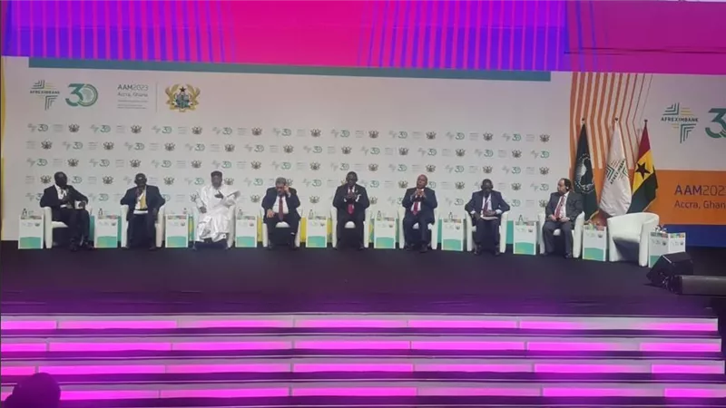 وزير المالية: الأزمات العالمية واضطراب سلاسل الإمداد تفرض تعزيز القدرات الإنتاجية الأفريقية
