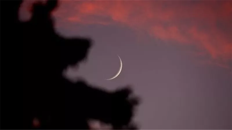 عيد الأضحى 28 يونيو.. دار الإفتاء: غدا أول أيام شهر ذي الحجة