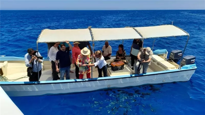 وزيرة البيئة تشهد أولى جلسات التدريب العملى لتحليل سلوك القروش بالبحر الأحمر بمشاركة الخبيرة الدولية