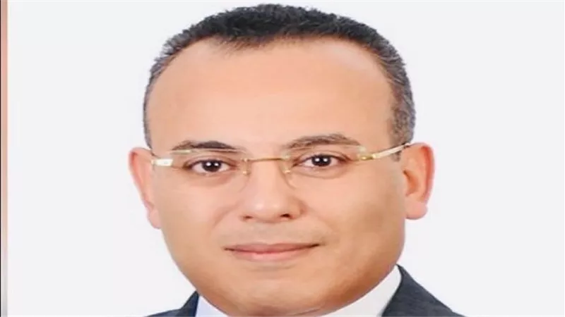 متحدث الرئاسة: الأزمات الاقتصادية كانت كاشفة للعوار الموجود 