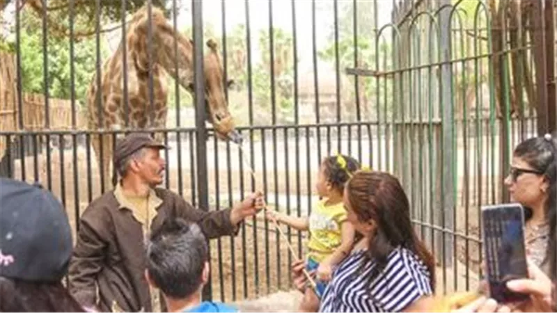 حديقة الحيوان تستعد لاستقبال الزائرين فى عيد الأضحى