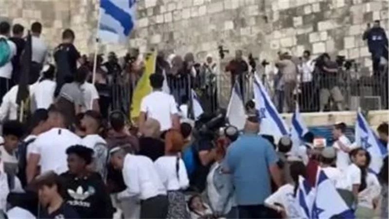 مُستوطنون إسرائيليون يحرقون مُنتزهًا فلسطينيًا وآخرون يقتلعون أشجارًا جنوب الضفة الغربية