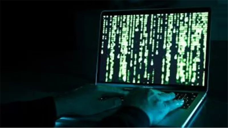 توقف حركة الشحن فى أكبر ميناء يابانى بسبب هجوم إلكترونى