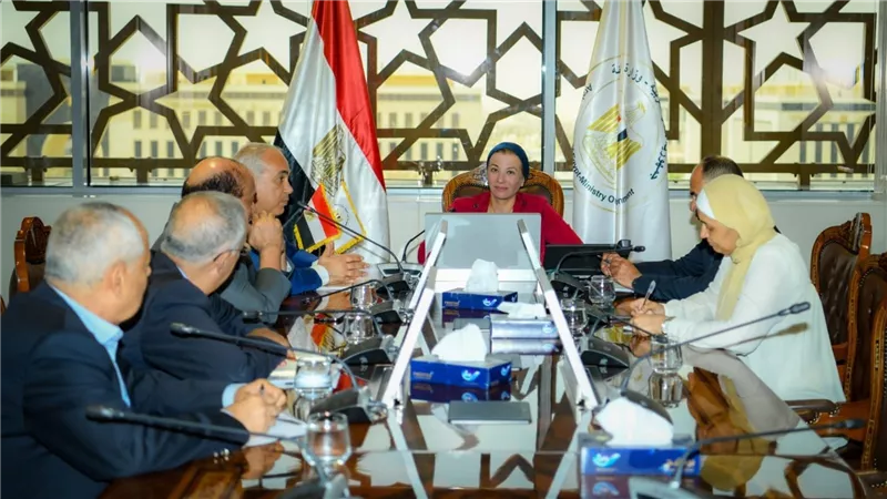 وزيرة البيئة تناقش آليات دعم تنفيذ مشروع انتاج الأخشاب ال MDF في مصر