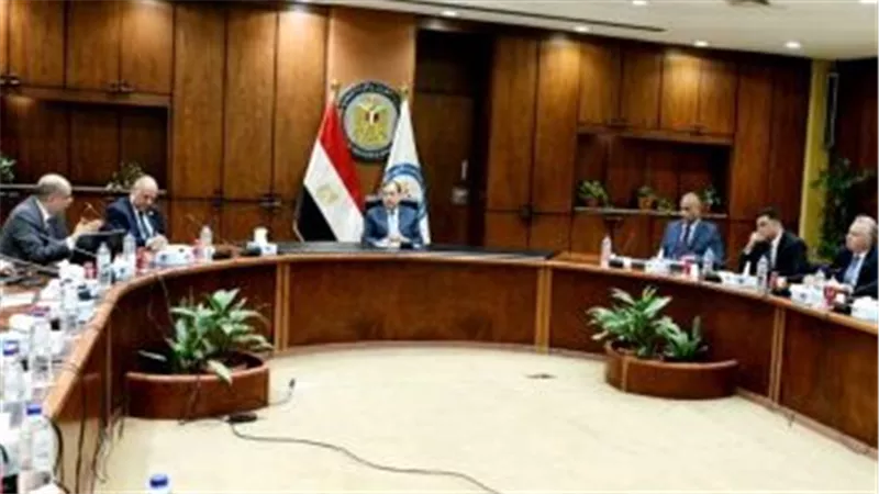 وزير البترول: إنتاج السيليكون مشروع قومى للاستفادة من مواردنا التعدينية