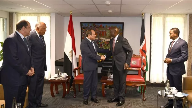 الرئيس السيسي يستعرض الفرص والتحديات للتكامل القاري