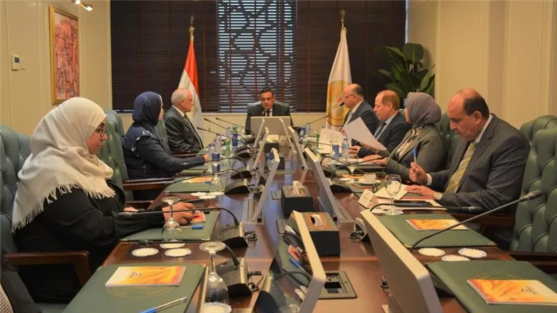 وزير التنمية المحلية يتابع مع محافظي القاهرة والجيزة معدلات تنفيذ المشروعات التنموية والخدمية 