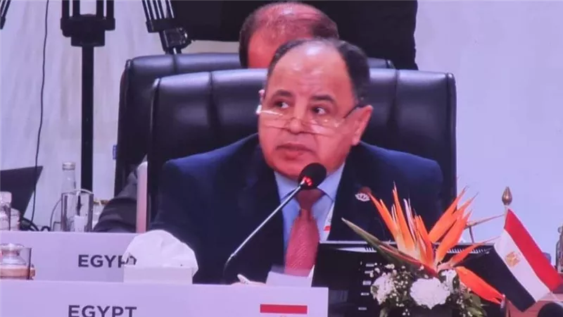 وزير المالية: تطوير الهيكل المالي العالمي لتعزيز المسار التنموي