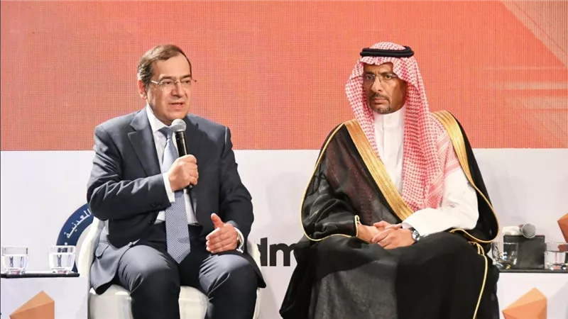 وزير البترول : منطقة الدرع العربي النوبي ثرية بالمعادن ولم تستغل بالشكل الأمثل