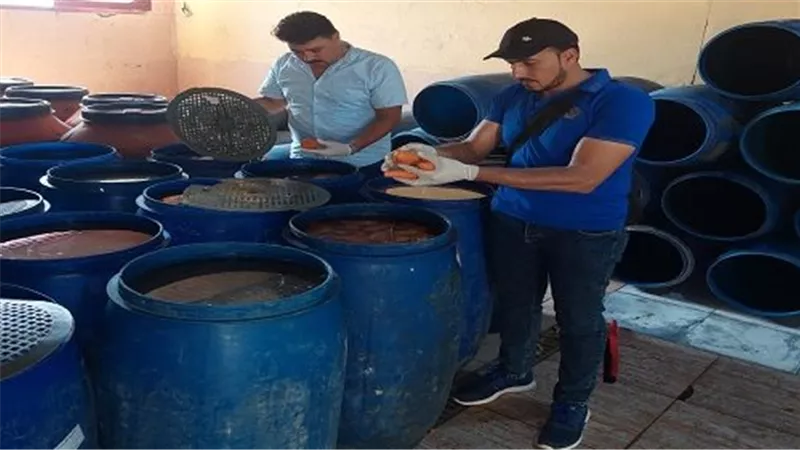 صحة الشرقية: ضبط وإعدام أكثر من ٦٨ طن أغذية و٤٣٤ منشأة مخالفة خلال شهر 