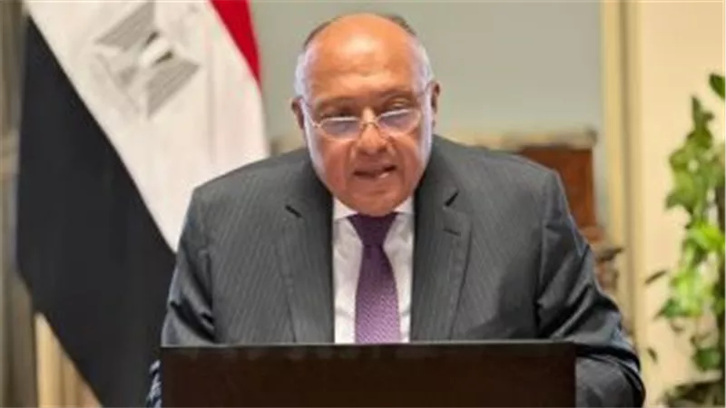 الخارجية تستدعى سفيرة الدنمارك بسبب تكرار أحداث حرق نسخة من المصحف