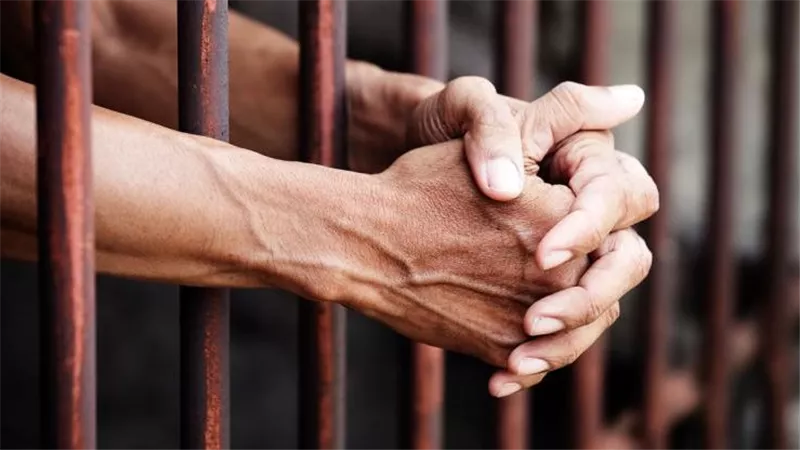 بالسجن المؤبد.. الحكم على عاطلين بتهمة جلب وتهريب المخدرات بين المحافظات