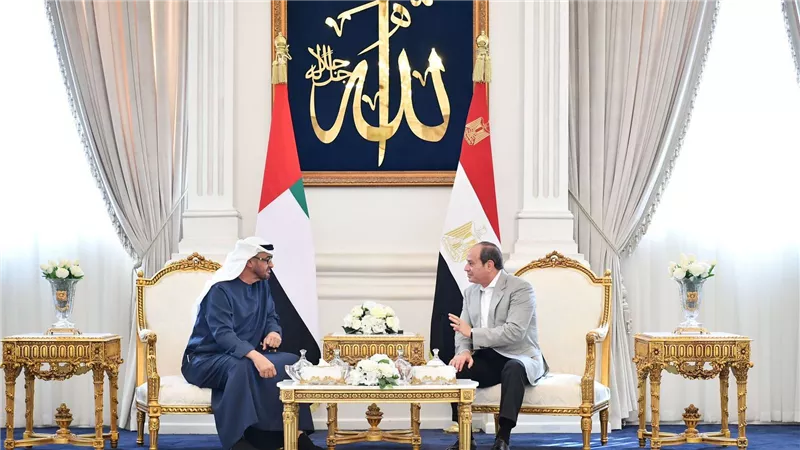  أهمية تكثيف العمل العربي المشترك.. تفاصيل لقاء الرئيس السيسي مع رئيس الإمارات