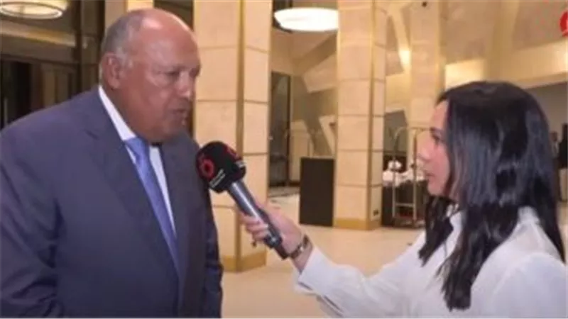 وزير الخارجية: الرؤية المصرية تشمل العمل بكل جهد لصالح الشعب السوداني